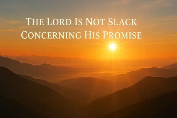 Drink Devotional Method: The Lord Is Not Slack Concerning His Promise (2 Peter 3)